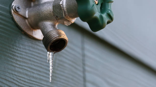Best Shower Repair Services  in Riverdale, IL